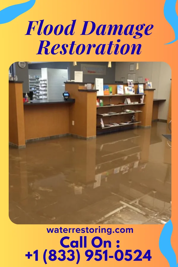 Flood Damage Restoration in Laingsburg, MI