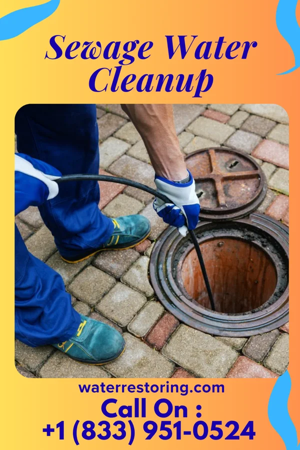 Sewage Water Cleanup in Laingsburg, MI